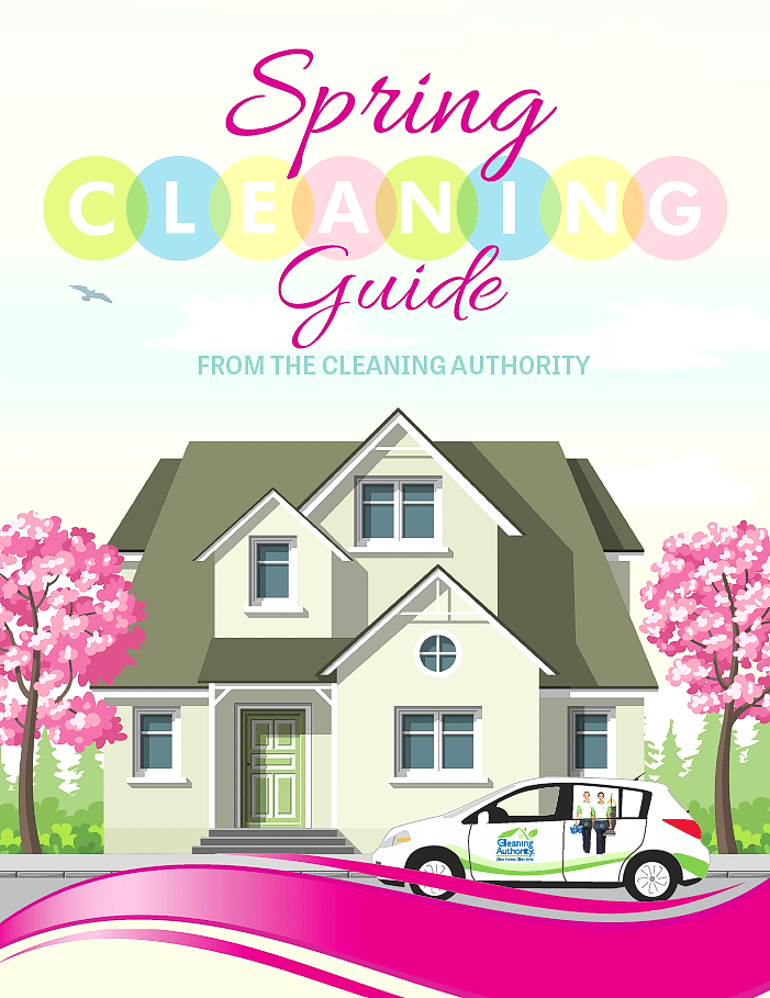 Spring Cleaning Guide